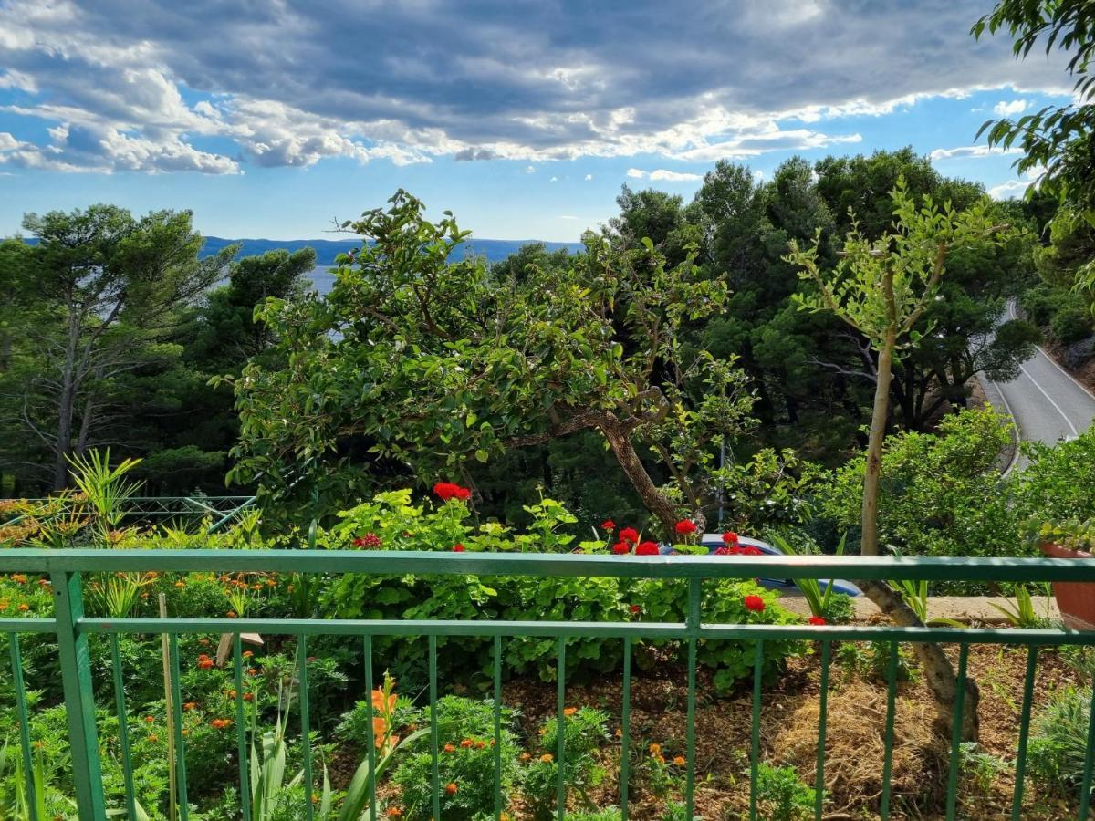 ברלה Guesthouse Dominovic מראה חיצוני תמונה
